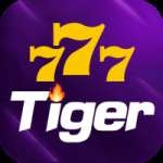 777tiger King Gaming App